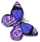 Image of butterfly10.gif