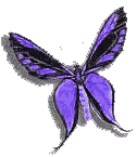 Image of butterfly11.gif