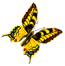 Image of butterfly13.gif