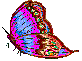Image of butterfly2.gif