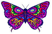 Image of butterfly7.gif