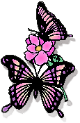 Image of butterfly9.gif