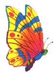 Image of butterfly_11.gif