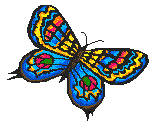 Image of butterfly_16.gif