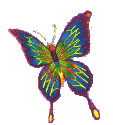 Image of butterfly_4.gif