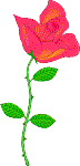 Image of rose.gif