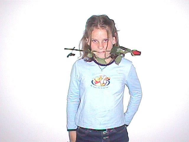 Image of singlerose.jpg